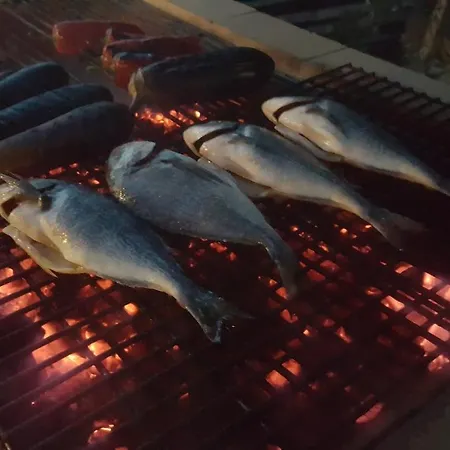 Durusu Ciftlik Evleri Datça