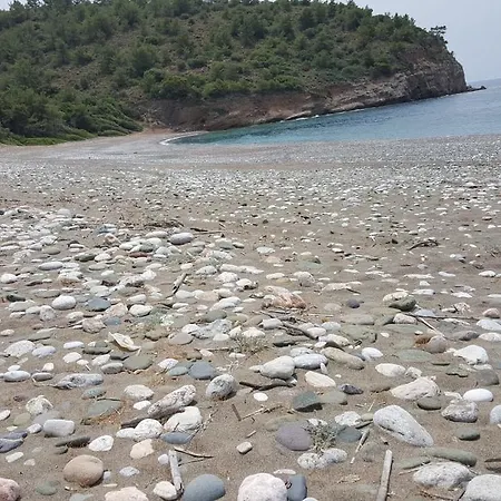 Durusu Ciftlik Evleri Nocleg ze śniadaniem Datça