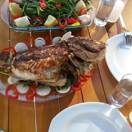 Durusu Ciftlik Evleri Nocleg ze śniadaniem *