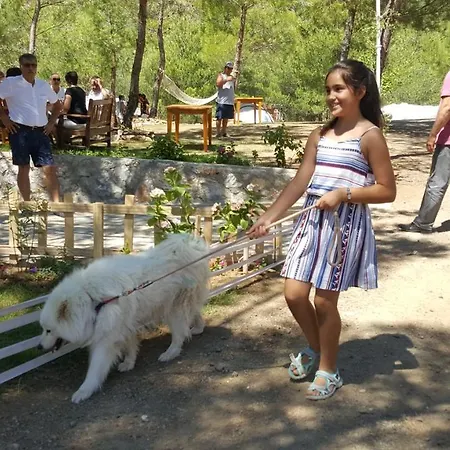 Nocleg ze śniadaniem Durusu Ciftlik Evleri