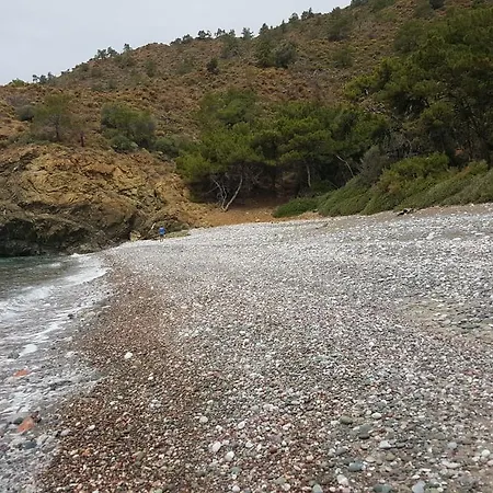 Durusu Ciftlik Evleri B&B *