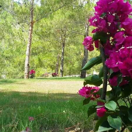 B&B Durusu Ciftlik Evleri *